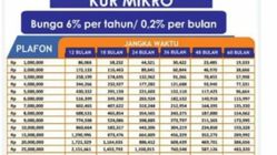 Attachment for Syarat dan Cara Ajukan KUR BRI 2025 Tanpa Jaminan! Pinjaman Rp10–Rp100 Juta, Cicilan Mulai Rp216 Ribu!