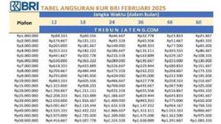Pilihan Tepat! Pinjaman KUR BRI 2025 Rp20 Juta untuk Modal Usaha Mikro