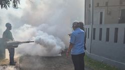 Wabah DBD di Tasikmalaya Meningkat, 607 Kasus dan 2 Kematian!