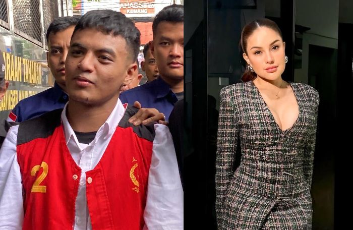 Divonis 9 Tahun, Vadel Badjideh Ajukan Tes DNA ke Anak Nikita Mirzani