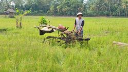 Tiga Traktor Dicuri, Petani Padaherang Panik Jelang Musim Tanam