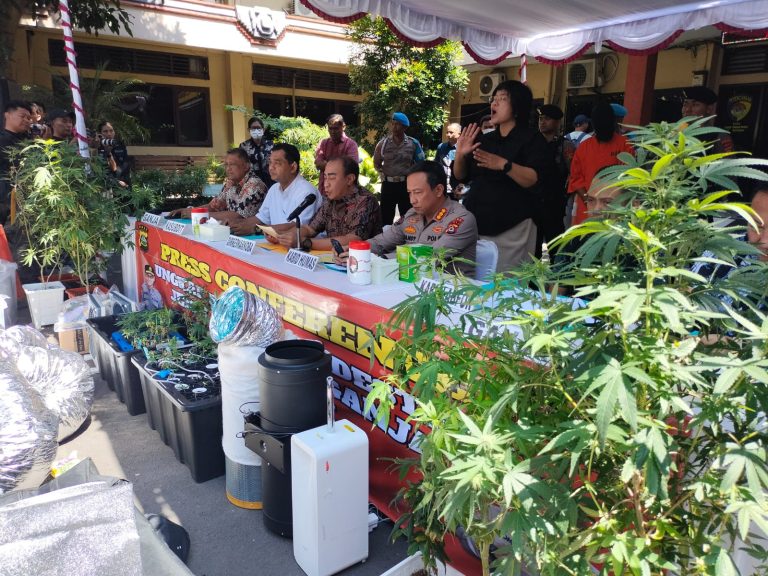 Polda Bali Tangkap Pasutri WNA Pemasok Ganja via Mr C Sejak Mei 2025