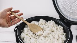 Mengapa Nasi Cepat Basi? Ini Cara Agar Tahan Lebih Lama