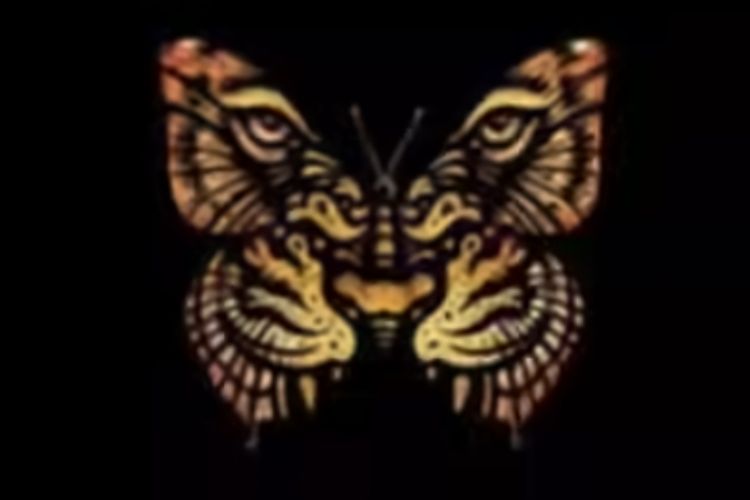 Anda Berorientasi pada Karir atau Keluarga? Cari Tahu Jawabannya Melalui Ilusi Optik Harimau atau Kupu-Kupu Berikut Ini