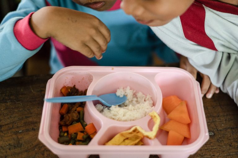 Danantara Beri Makan Siang Gratis untuk Prabowo dengan Kredit Khusus