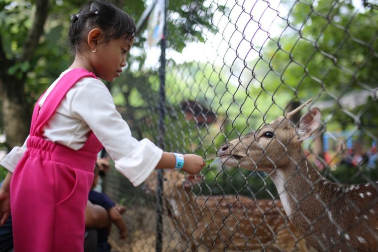 Sri Devi Jadi Tersangka Pemalsuan Akta di Pengelolaan Kebun Binatang Bandung
