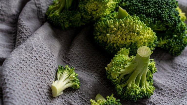 5 Keunggulan Brokoli untuk Makanan Anak, Kaya Nutrisi