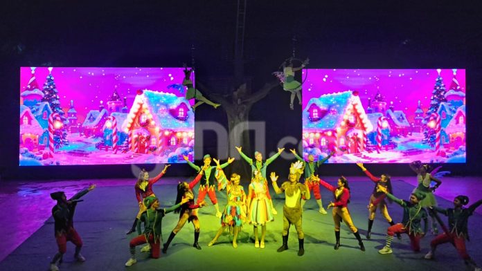 Attachment for Taman Safari Bogor Perkenalkan Program Safari Malam "Rimba Warna" untuk Libur Nataru 2026