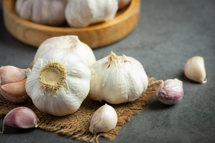 Attachment for Manfaat luar biasa bawang putih: bumbu andalan dalam setiap masakan