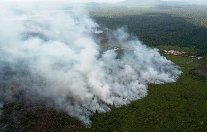 9 titik panas di Riau, semua di Pelalawan